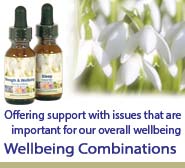 Wellbeing Combinations