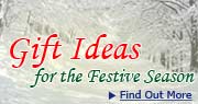 Festive Offers
