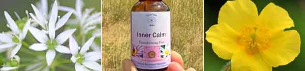 Making Friends With Fear Monage image - Garlic flowers, a bottle of Inner Calm Essence and a Rock Rose flower