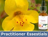 Practitioner Essentials Practitioner Essentials