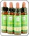 10ml Bach Flower Remedies Bach Remedies