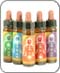 Chakra Essences Chakra Essences