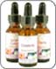 Divine Harmony Essences Divine Harmony Essences