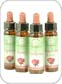 Rose Collection Essences