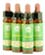 Bach Flower Remedies