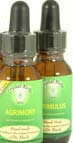 Bach Flower Remedies Bach Flower Remedies