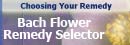 Bach Selector