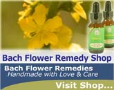 Bach&nbsp;Flower&nbsp;Remedy Set