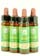 Bach remedies