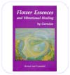 The Twelve Healers & Other Remedies