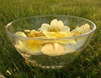 Making a Flower Essence - flowers potentising in a bowl in the sun