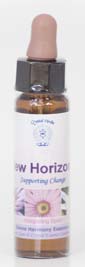 New Horizons Essence