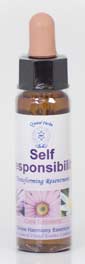 Self Responsbility Essence