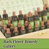 Bach Flower Remedies