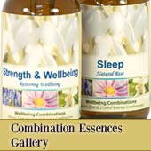 Bach Flower Remedies