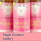 Bach Flower Remedies