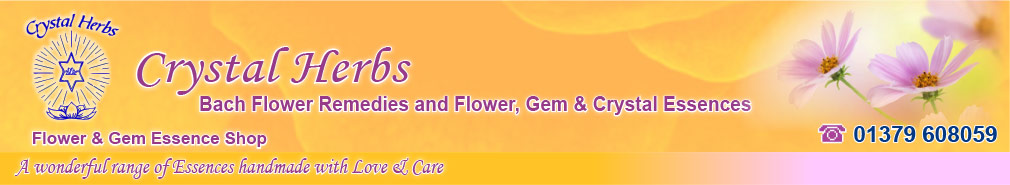 Bach Flower Remedies & Flower Essences
