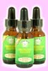 Bach Flower Remedies