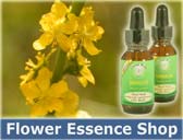 Flower Essence Shop