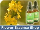 Flower Essence Shop