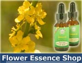 Flower Essence Shop
