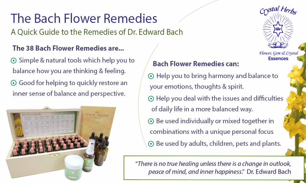 Bach Flower Remedies - a quick guide to the remedies with a picture of a Bach Flower Remedy set