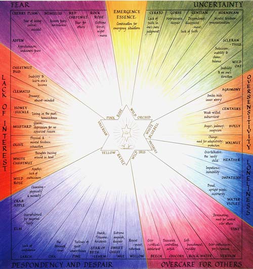 Karmic Essences & Bach groups