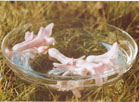 Making Flower Essences