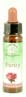 Rose Collection Essences