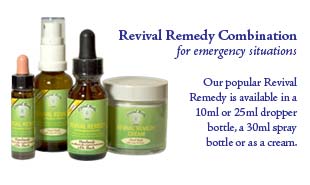 Revival Remedy Combination - from £3.60 Revival Remedy Combinations