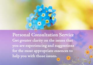 Consultations