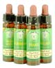 Bach Flower Remedies