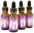 Archangel Essencces