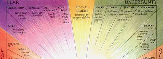 Bach Flower Remedies Chart showing the different groups and remedies