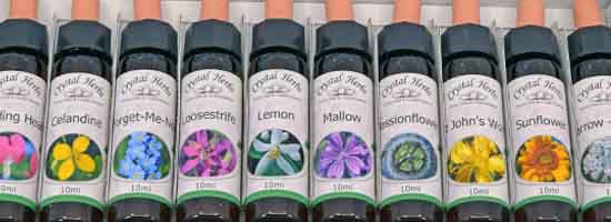 Flower Essences bottles in a set box