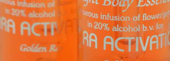 Hara Activation Essence - Rainbow Light Body Essences Hara Activation Essence - Rainbow Light Body Essences