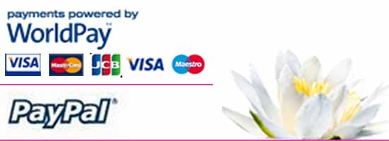 Payment Options