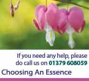 Choosing an Essence