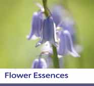 Flower Essences Section