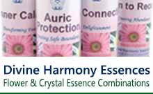 Buy Divine Harmony Essences Buy Divine Harmony Essences