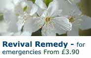 Revival Remedy - Bach Flower Remedies Revival Remedy - Bach Flower Remedies