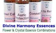 Divine Harmony Essences