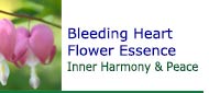 Bleeding Heart Flower Essence Bleeding Heart Flower Essence