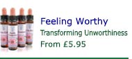Feeling Worthy Essence Feeling Worthy Essence