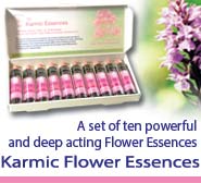 Karmic Essences