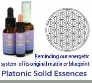 Platonic Solid Essences