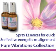 Rose Collection Essences