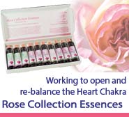 Rose Collection Essences