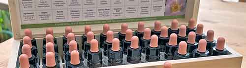 Bach Flower Remedy Set in a wooden box