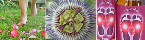 Montage Image - Feet walking in grass with rose petals, Passionflower and bottles of Feet Chakras Essence